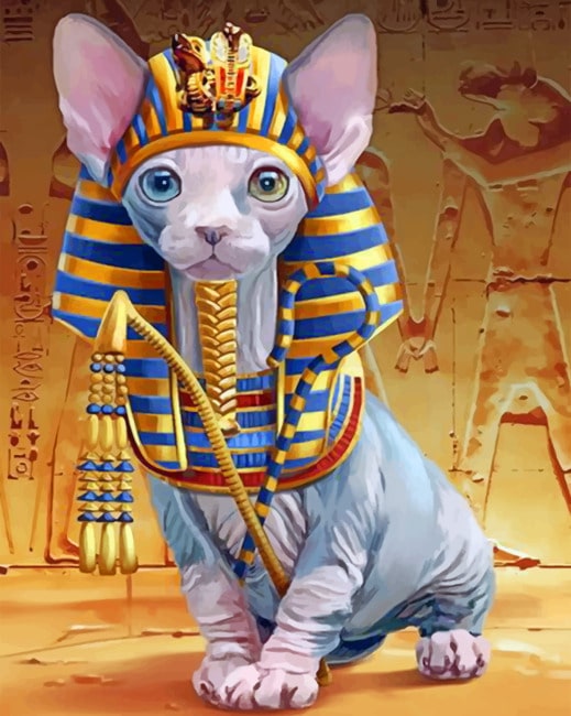 

Egyptian Cat – Paint By Numbers - 40*50CM, 501 Original
