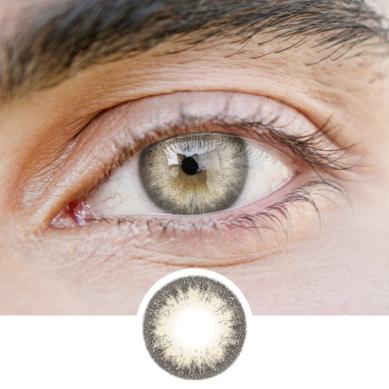 Men'Kotamaru(12 months) contact lenses