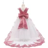 Kid Girl Lace Princess Party Wedding Dress