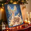 DIY Special Shape Diamond Painting Pearl Art With Inner Frame Kit 25x25cm(Christmas Reindeer)