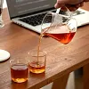 Portable Home Automatic Tea Brewing Set, Glass Teapot with Tea and Water Separator