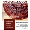 Ganoderma lucidum Anti-wrinkle Rejuvenating Serum - Fade fine lines/Deeply repair/Moisturizing & Firming skin - 28-Day Effective Wrinkle Reduction