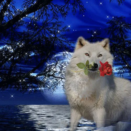 Diamondpaintinggifts Full Drill Diamond Painting - Rose Flower Wolf