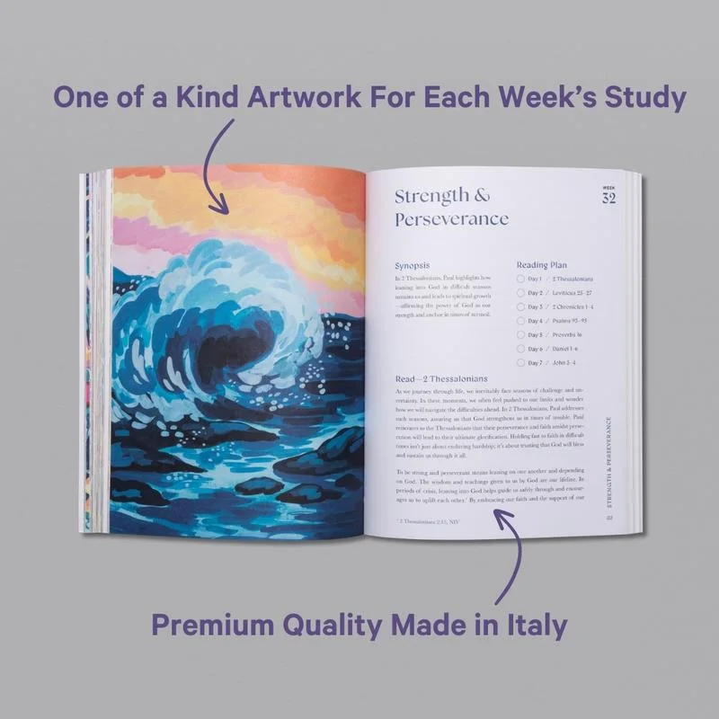 A Beautiful Year in the Bible: The 52-Week Bible Study for Women (Soft Cover)