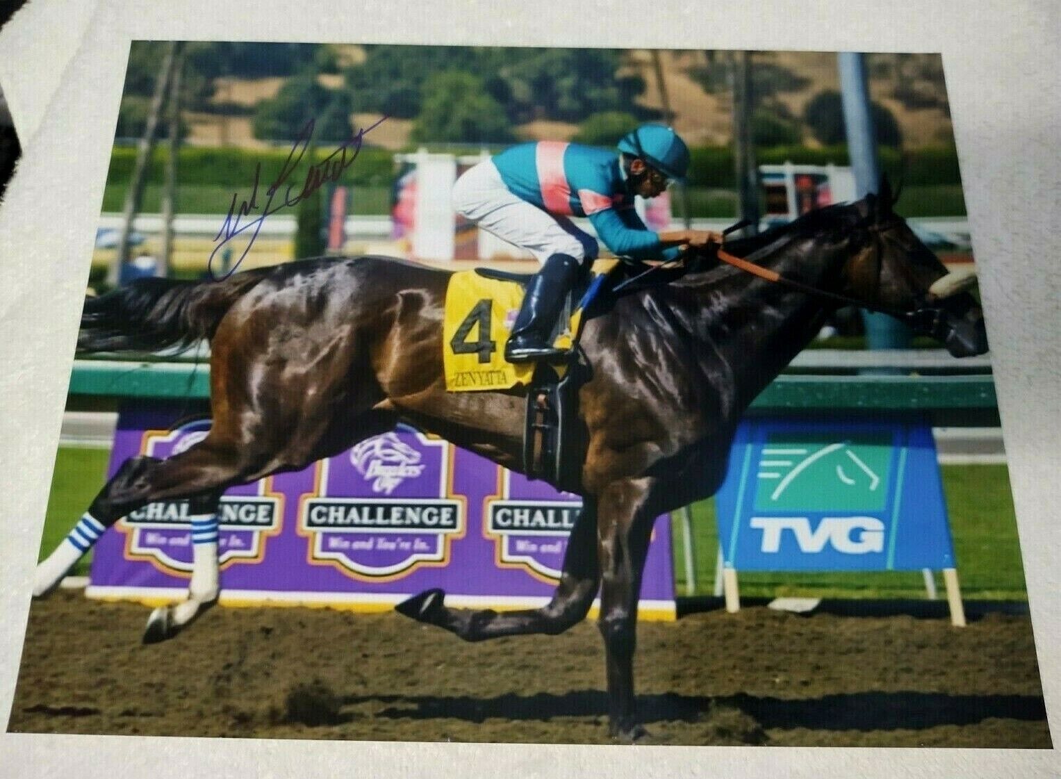 MIKE SMITH ZENYATTA BREEDER'S CUP CLASSIC SIGNED 8x10 HORSE RACING Photo Poster painting