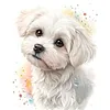 Maltese Dog-11CT Stamped Cross Stitch 40*50cm/15.75*19.69in tapestrymarket