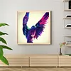 uk.everydayedeals (Limited Stock)Paint By Number - Oil Painting -  Hummingbird (40*40Cm)