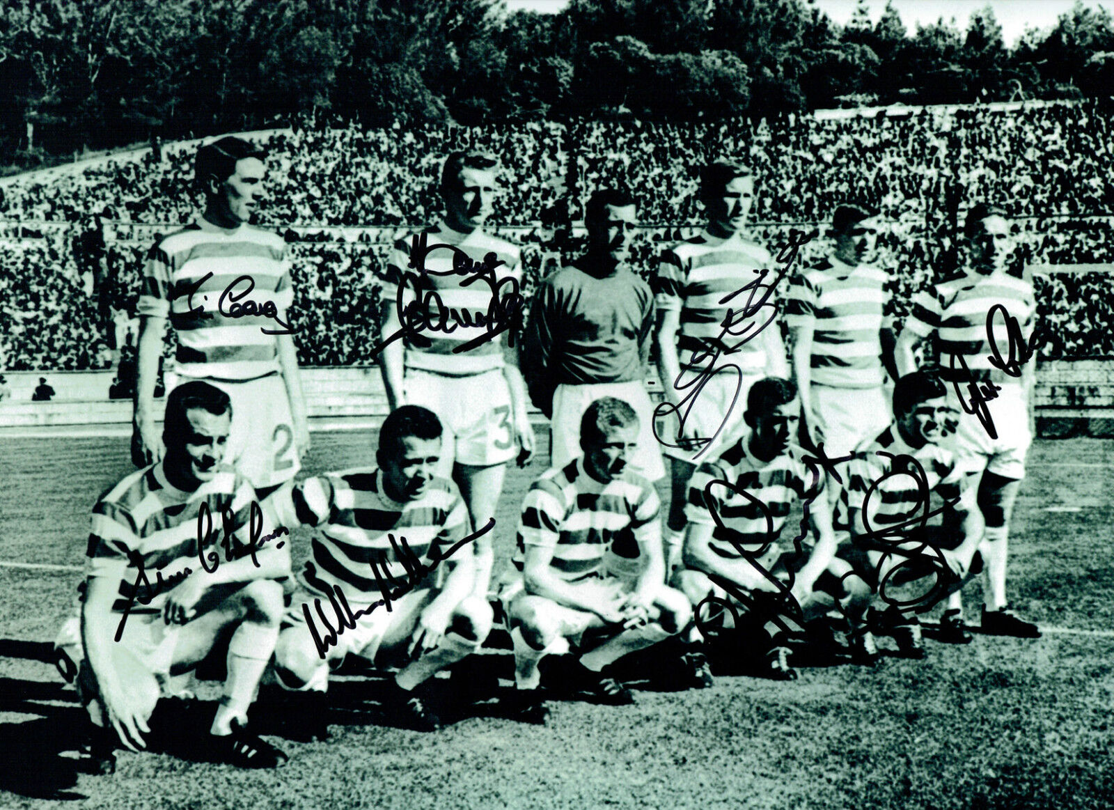 Glasgow CELTIC Lisbon Lions 1967 Multi Signed 16x12 Photo Poster painting AFTAL RD Autograph COA