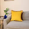 Velvet Golden Tassels Plush Home Living Creative Cushion Pillow Cover