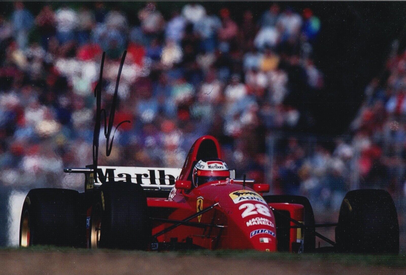 Gerhard Berger Hand Signed 12x8 Photo Poster painting F1 Autograph Ferrari Formula 1