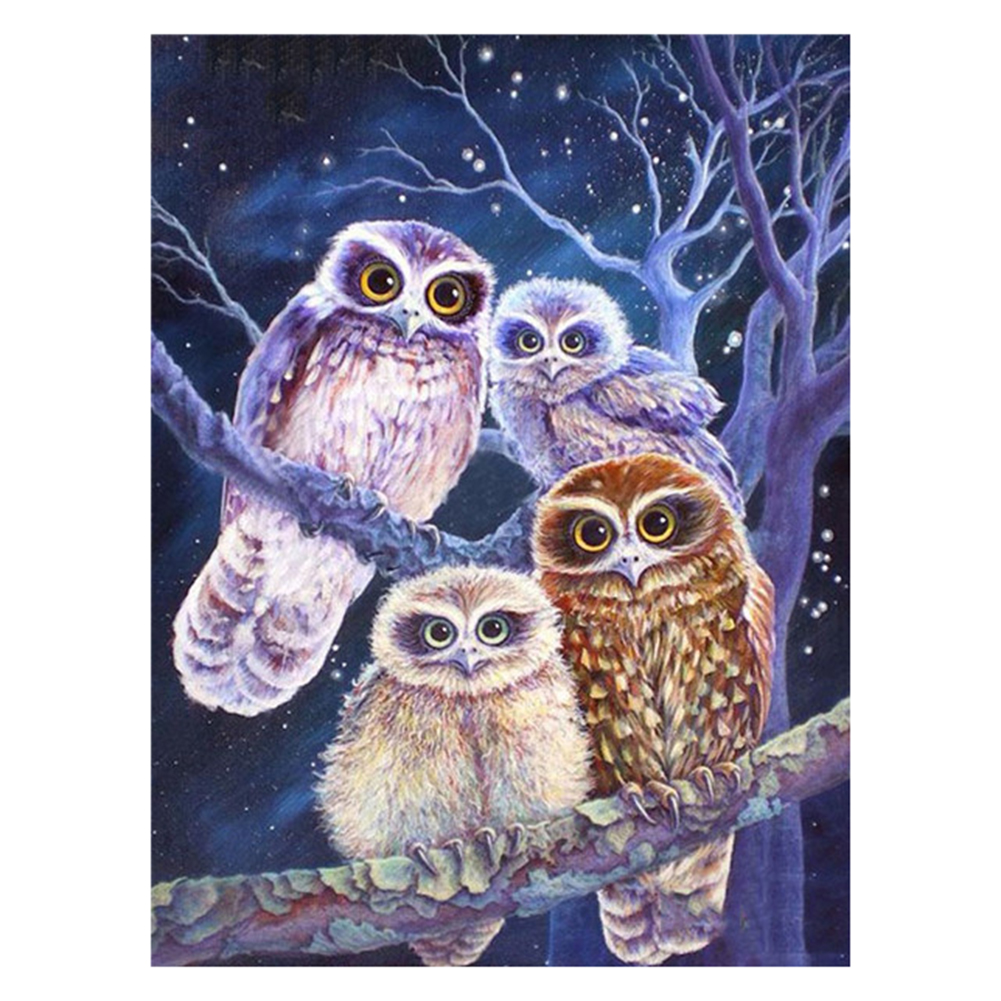 

40*50CM - Round Drill Diamond Painting - Owl, 501 Original