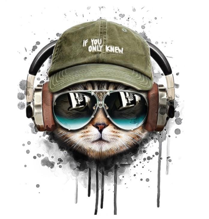 

Cat Listening To Music – Paint By Numbers - 40*50CM, 501 Original