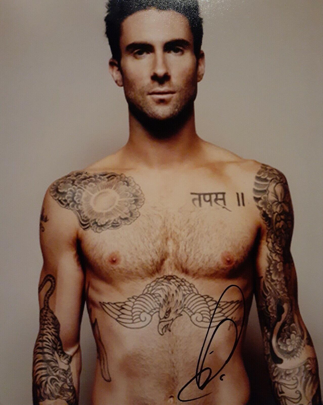 Adam Levine signed 8x10