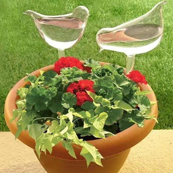 (⚡Last Day Flash Sale-50% OFF) Self-Watering Plant Glass Bulbs-BUY 4 SETS FREE SHIPPING