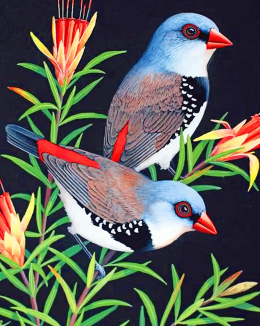 

Aesthetic Birds – Paint By Numbers - 40*50CM, 501 Original