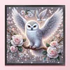 Owl On Flower Branch - 11CT Counted Cross Stitch - 40*40cm