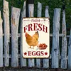 Farm Fresh Eggs - Vintage Metal Signs - 20*30cm/30*40cm