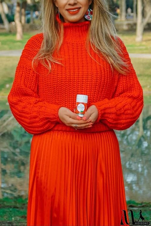 MidiSono - High Collar Sweater