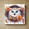 (Pre-Framed)Owl-Special Shape Diamond Painting Kit(25x25cm)