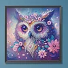 DIY Partial Special Shaped Drill Diamond Painting-Owl