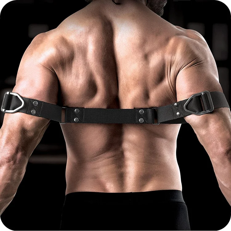 pornhint Pornhint Command Bicep Binder