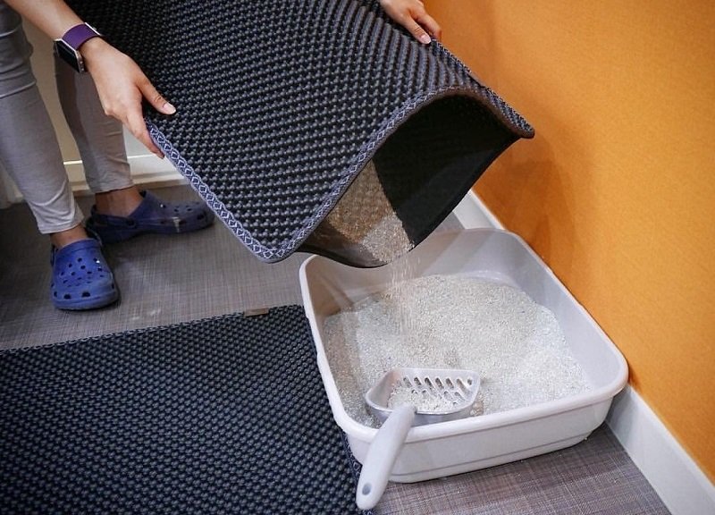 Best Cat Litter Mats For a Clean House and a Happy Kitty - ToolsOfPets