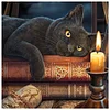 Black Cat-11CT Stamped Cross Stitch 40*40cm/15.75*15.75in
