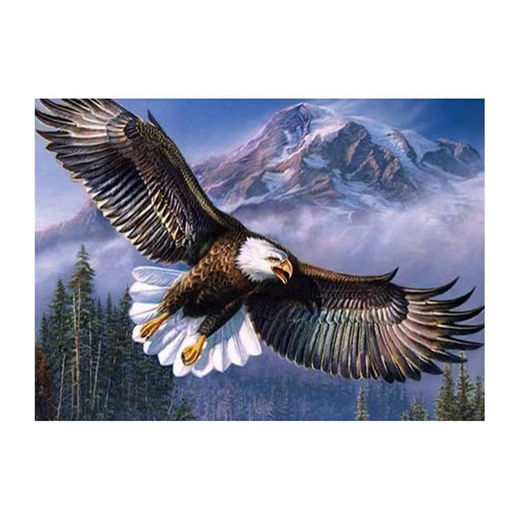 Eagle Wings Round Full Drill Diamond Painting 40X50CM(Canvas) gbfke