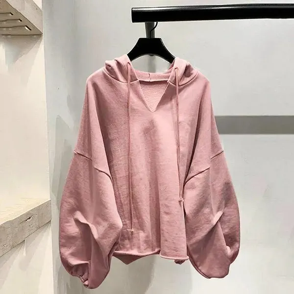 Women's Spring Autumn Long Sleeve Hooded Thin Sweater Lazy Wild Loose Top