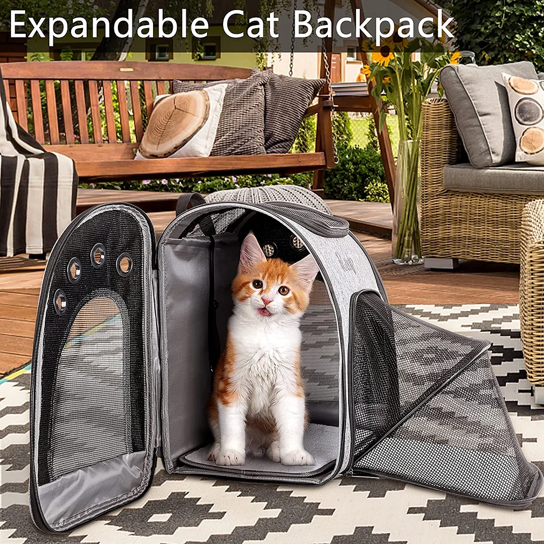 Petrip Pet Backpack Carrier for 20 lbs Cats Small Dogs, Expandable Cat Backpack with Super Ventilated Design, Safety Straps, Buckle Support, Airline Approved Collapsible Dog Backpack