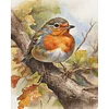 (US Only)Robin Printed Cross Stitch Kit 40x50cm DIY 11CT Embroidery Craft Set Home Decor