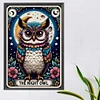 Diamond Painting -DIY Round Partial AB Drill Owl(45x65cm)