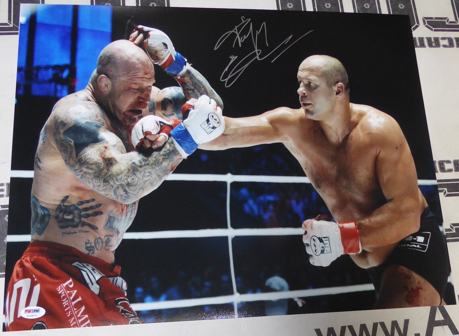 Fedor Emelianenko Signed 16x20 Photo Poster painting PSA/DNA COA Picture Pride FC M-1 Global UFC