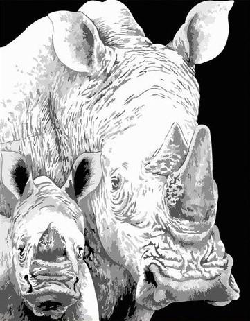 

Black And White Rhino – Paint By Numbers - 40*50CM, 501 Original