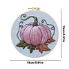 Pumpkin-Embroidery Kit