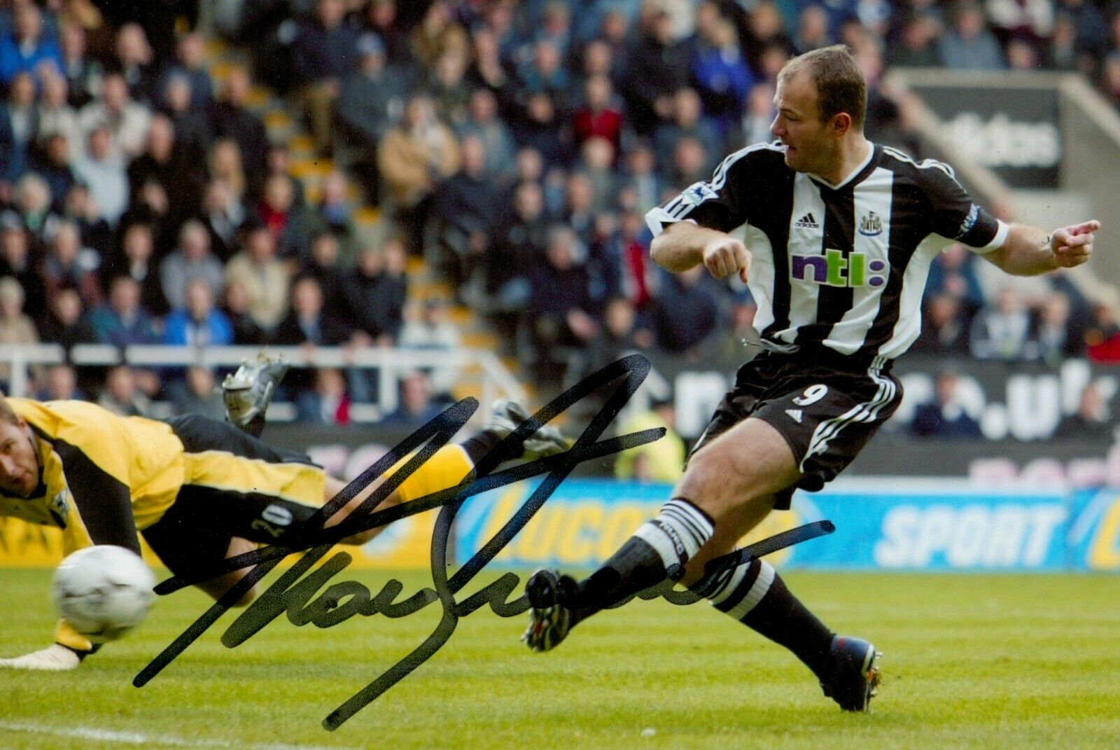 Alan Shearer Signed 6x4 Photo Poster painting Newcastle United England Genuine Autograph + COA