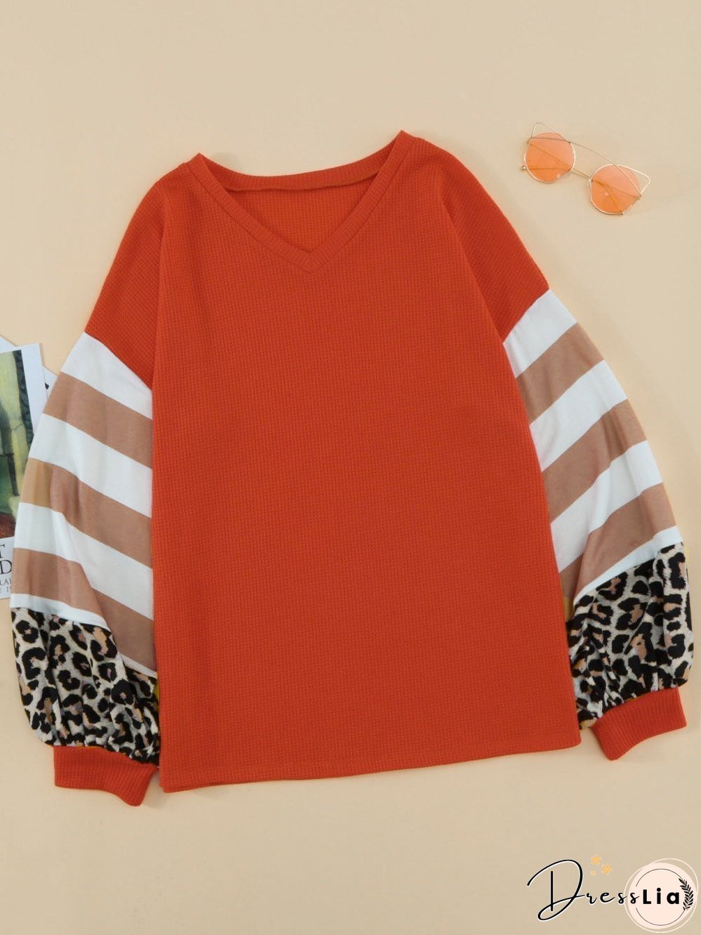 Leopard Stripe V Neck Lantern Sleeve Top with Colorblock Detail