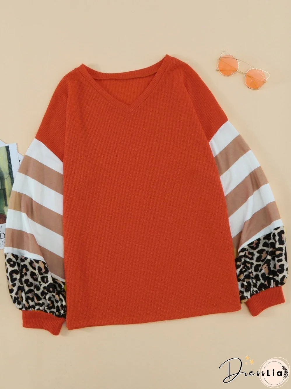 Leopard Stripe V Neck Lantern Sleeve Top with Colorblock Detail