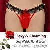Men's Underwear For Men Sexy Lingerie Sexy G-string Underwear Sheer Mesh Bikini Briefs Gay Crossdresser