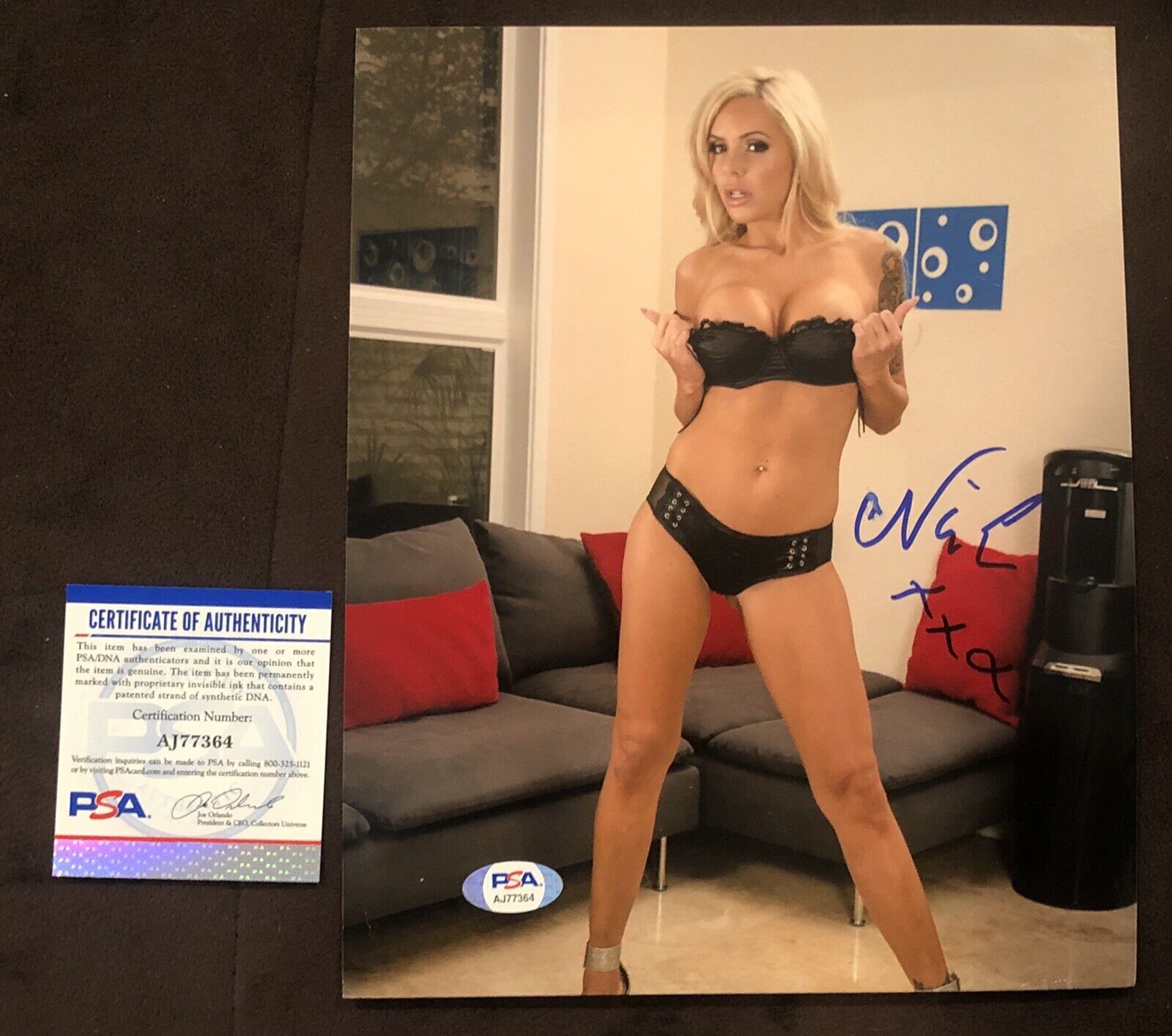 Nina Elle Adult Film Star Signed 8x10 Autographed Photo Poster painting SEXY Rare PSA Proof