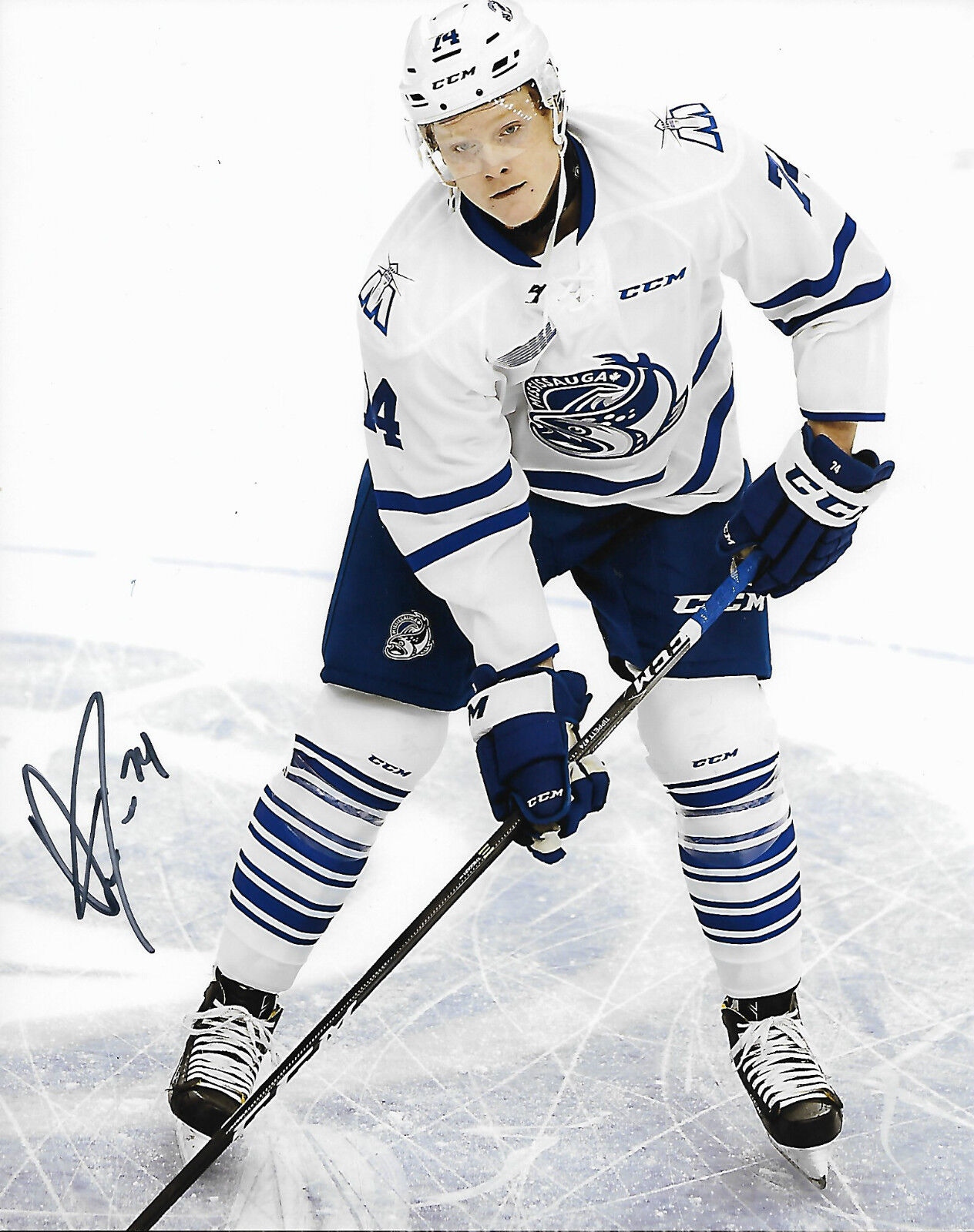 Mississauga Steelheads Owen Tippett Signed Autographed 8x10 OHL Photo Poster painting COA B