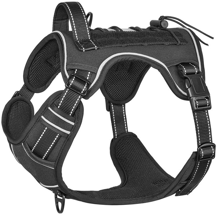 Harness