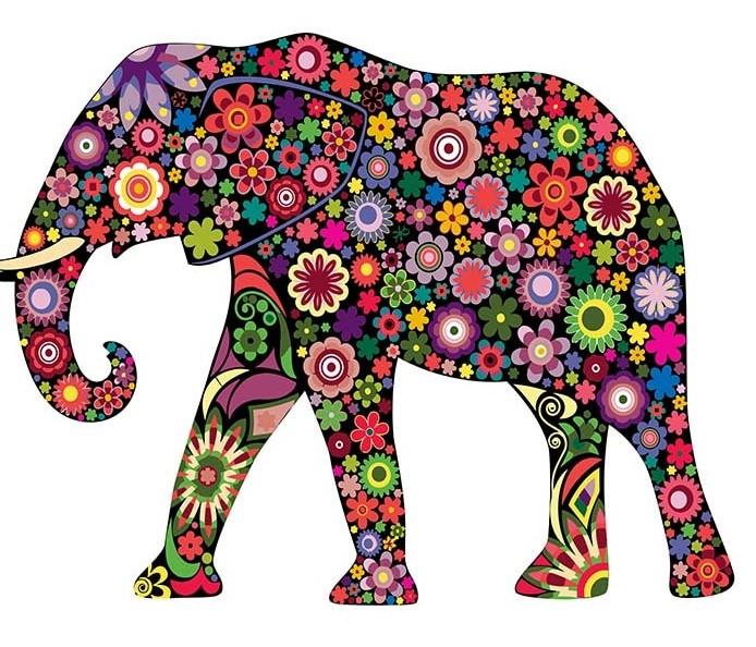 

Floral Elephant – Paint By Numbers - 40*50CM, 501 Original