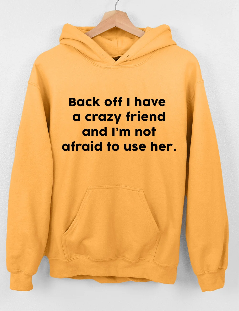 I Have A Crazy Friend Matching Hoodie