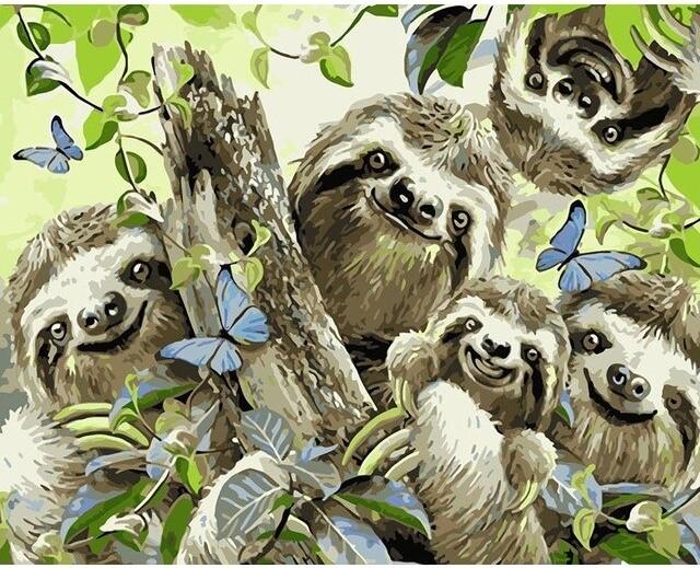 

Sloth Selfie – Paint By Numbers - 40*50CM, 501 Original