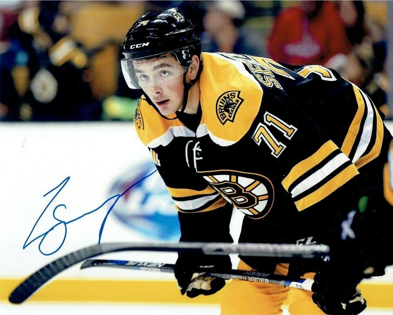 ZACH SENYSHYN autographed SIGNED BOSTON BRUINS 8X10 Photo Poster painting #3