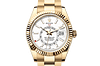 Rolex 326938 Sky-Dweller Intense White - New