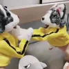 Kung Fu Husky Gants en peluche