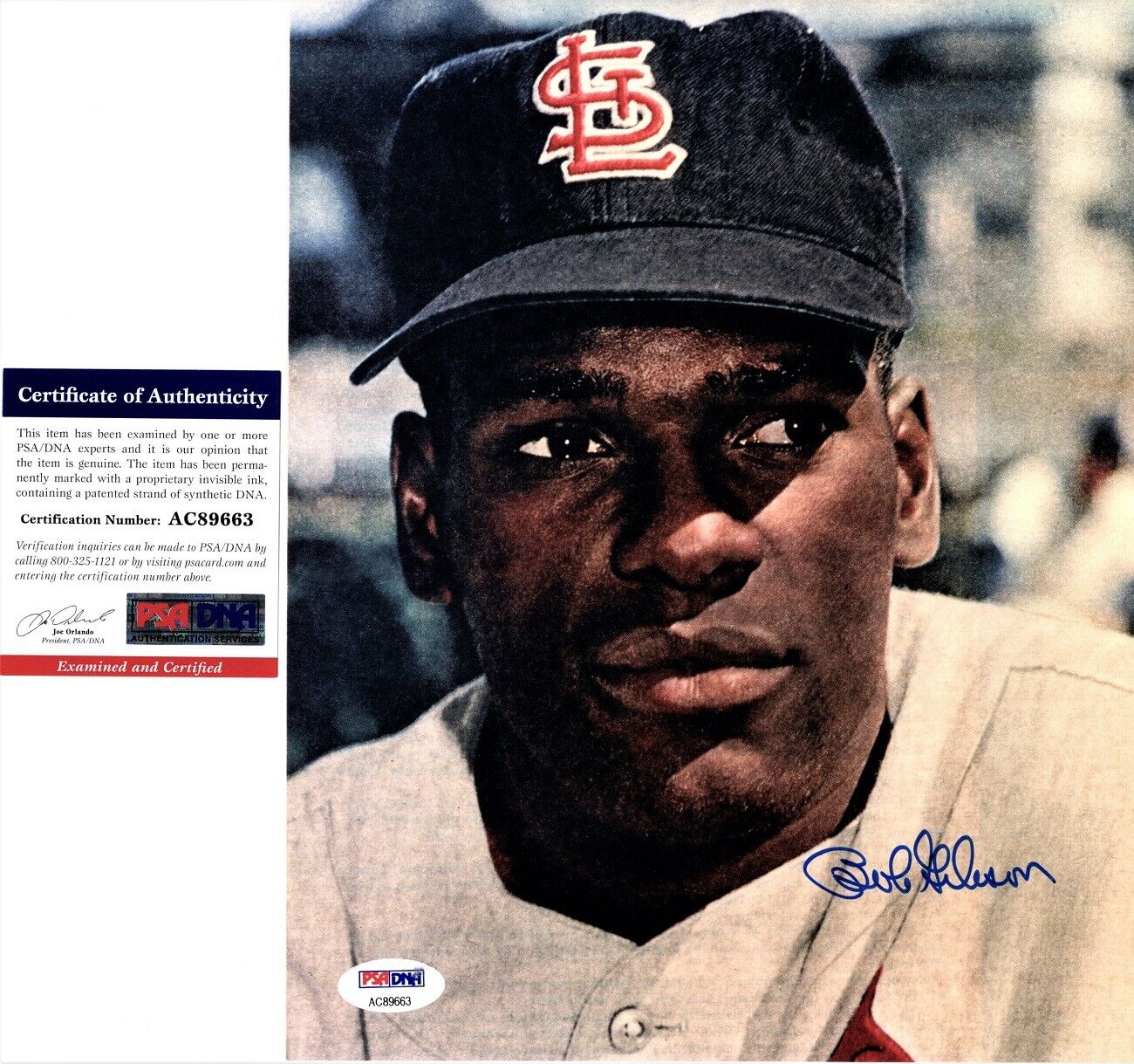 Bob Gibson Signed Autographed St. Louis Cardinals 8x10 inch Photo Poster painting + PSA/DNA COA