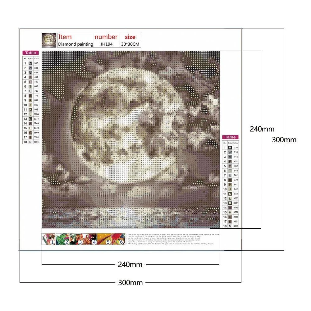 Diamond Painting - Full Round Drill - Moon(30*30cm)